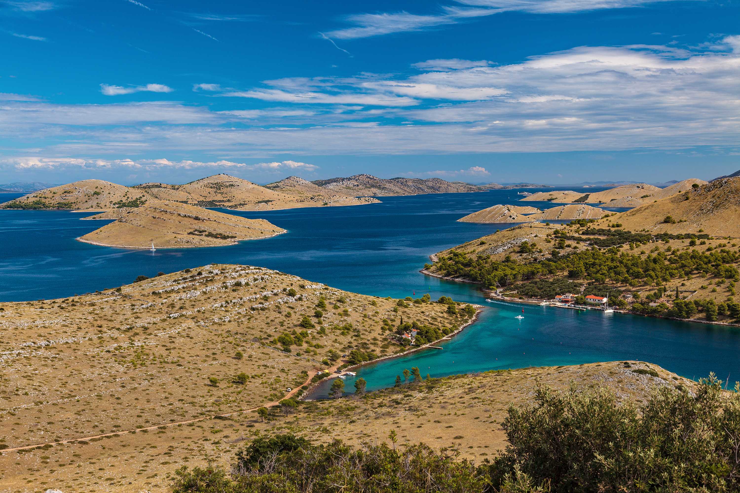 Mediterranean flora in Kornati Archipelago